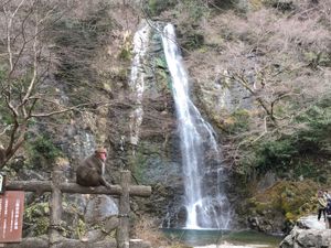 箕面の滝