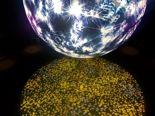 日本・大阪府「Osaka」の写真：ニフレル