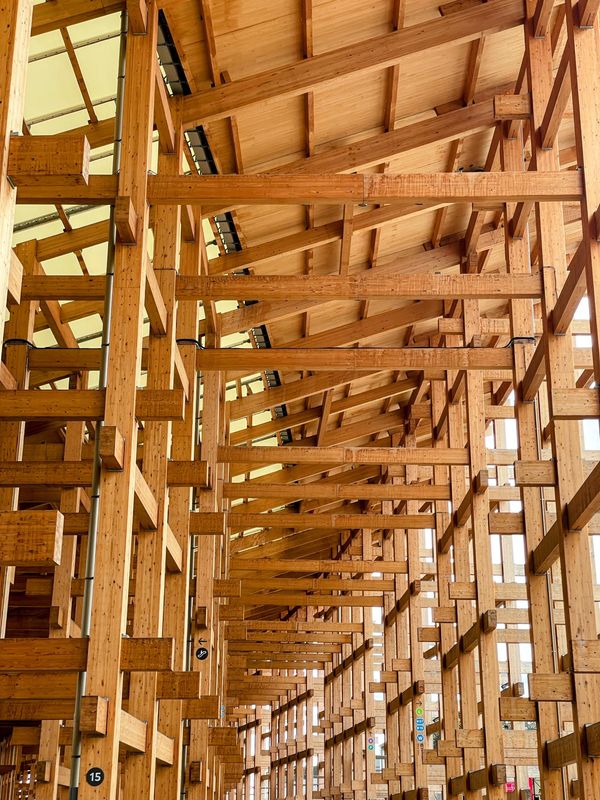 日本・大阪府「Osaka」の写真：大阪万博2025