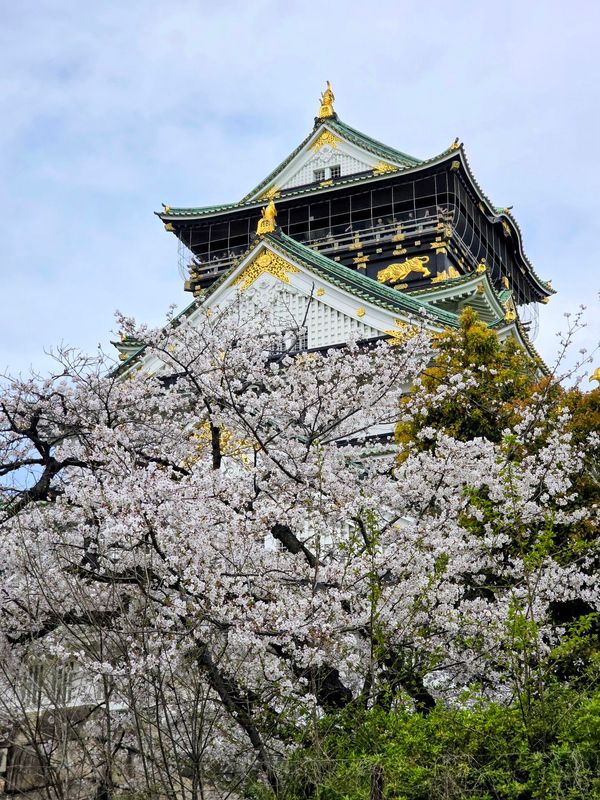 日本・大阪府「Osaka」の写真：大阪城