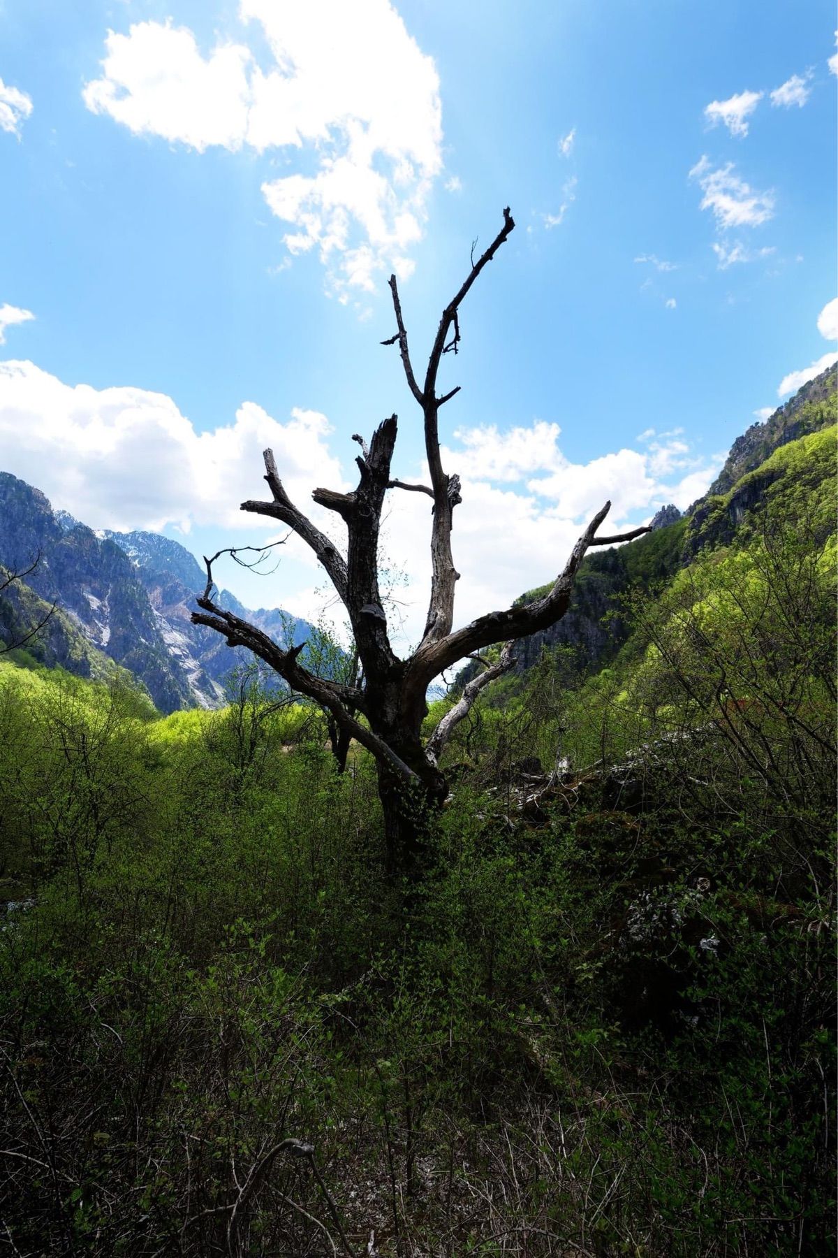 テスの町からトレッキング