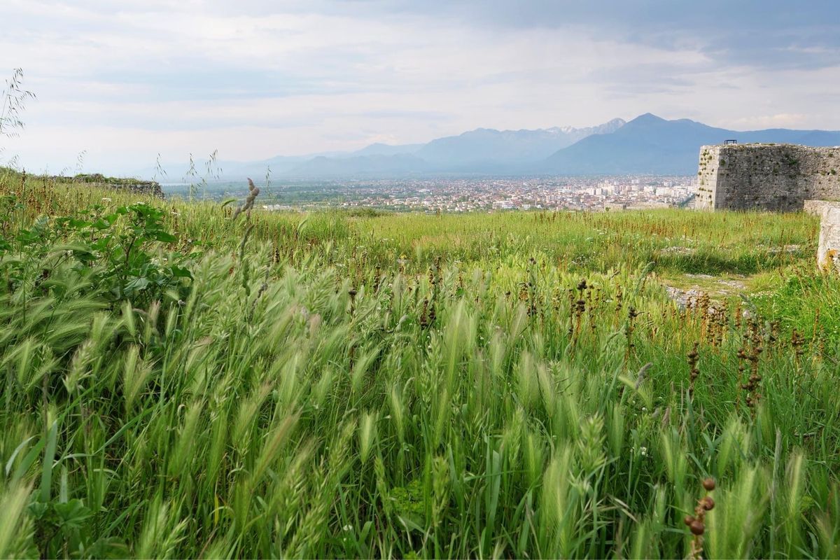 ショコドラ城から