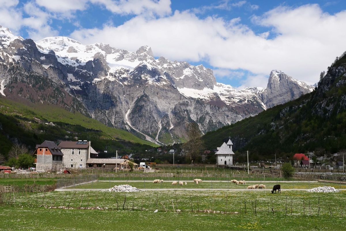 テスの村はのどかで最高！