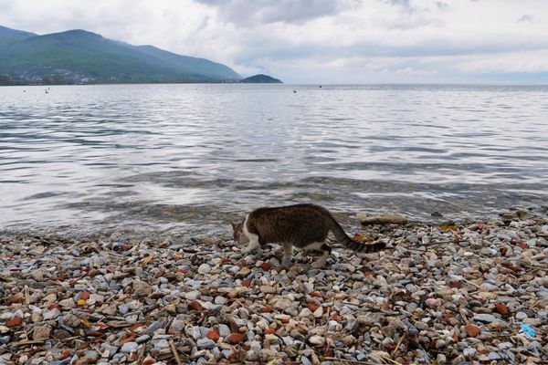 マケドニア共和国・Ohrid「バルカン半島旅行」の写真：オフリド湖です