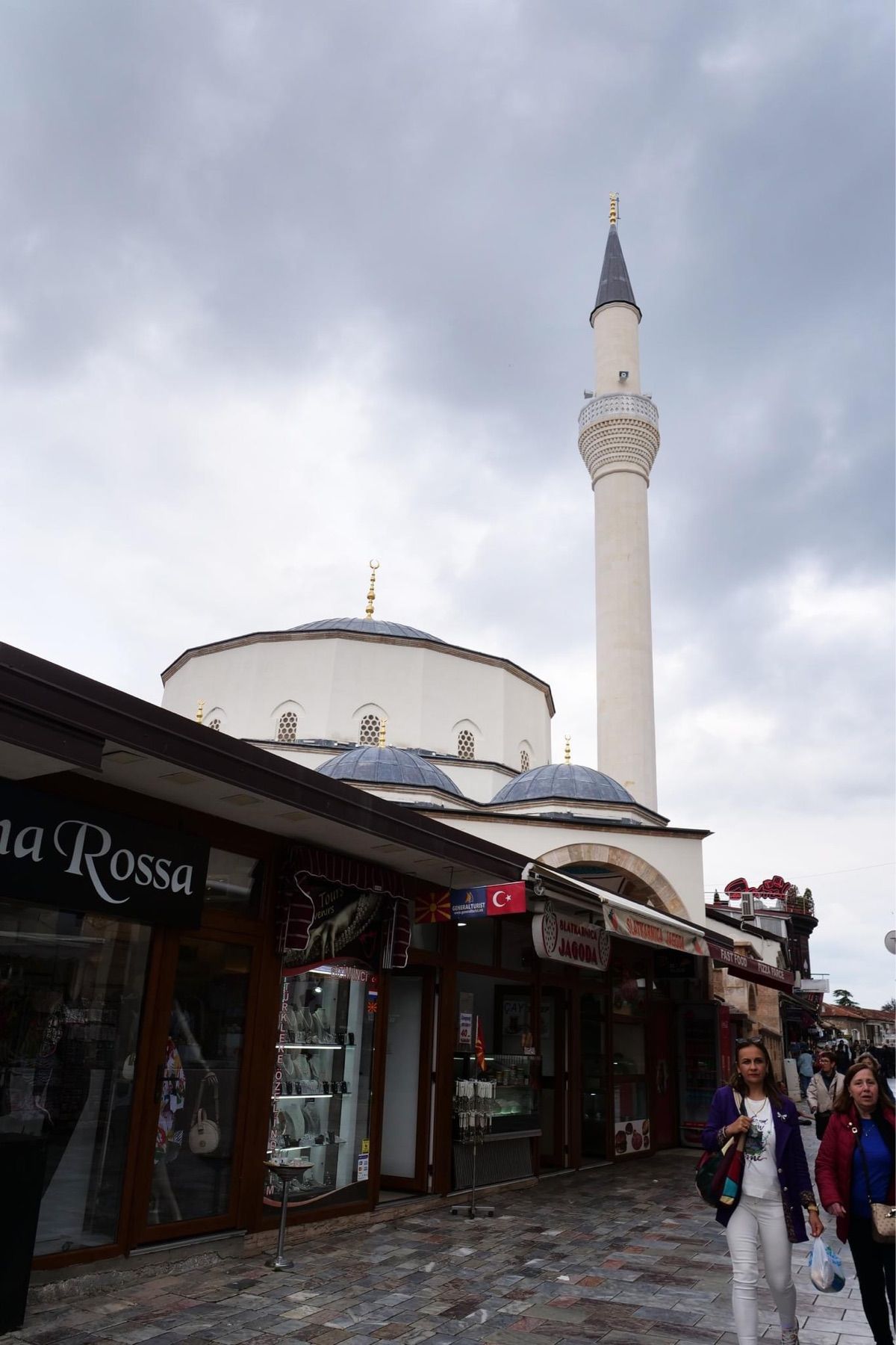 オフリドのネコ