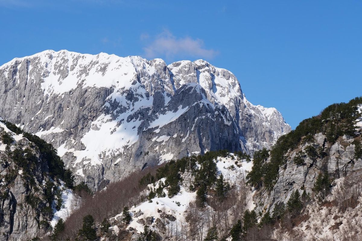 トレッキング中の風景