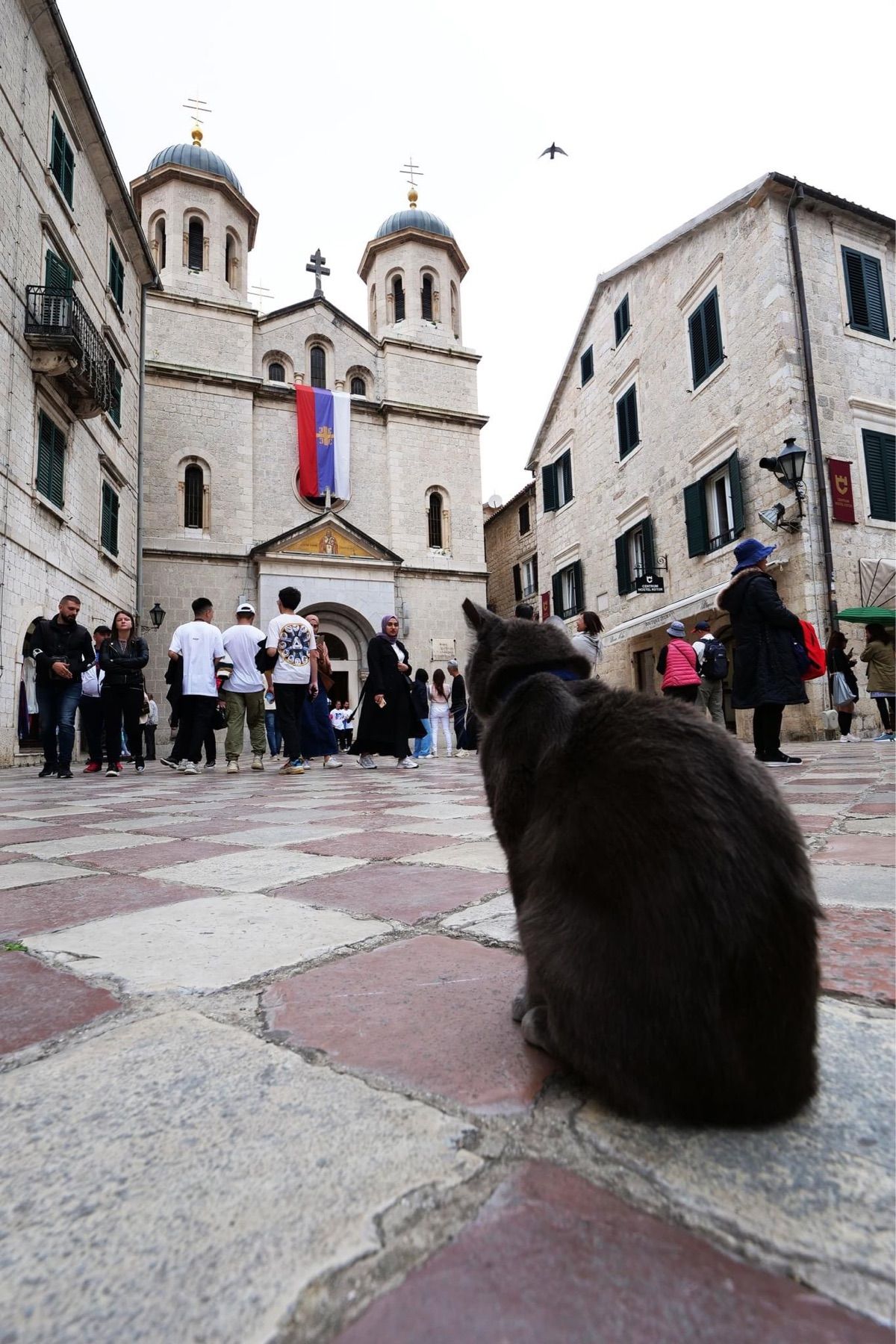 コトルの旧市街