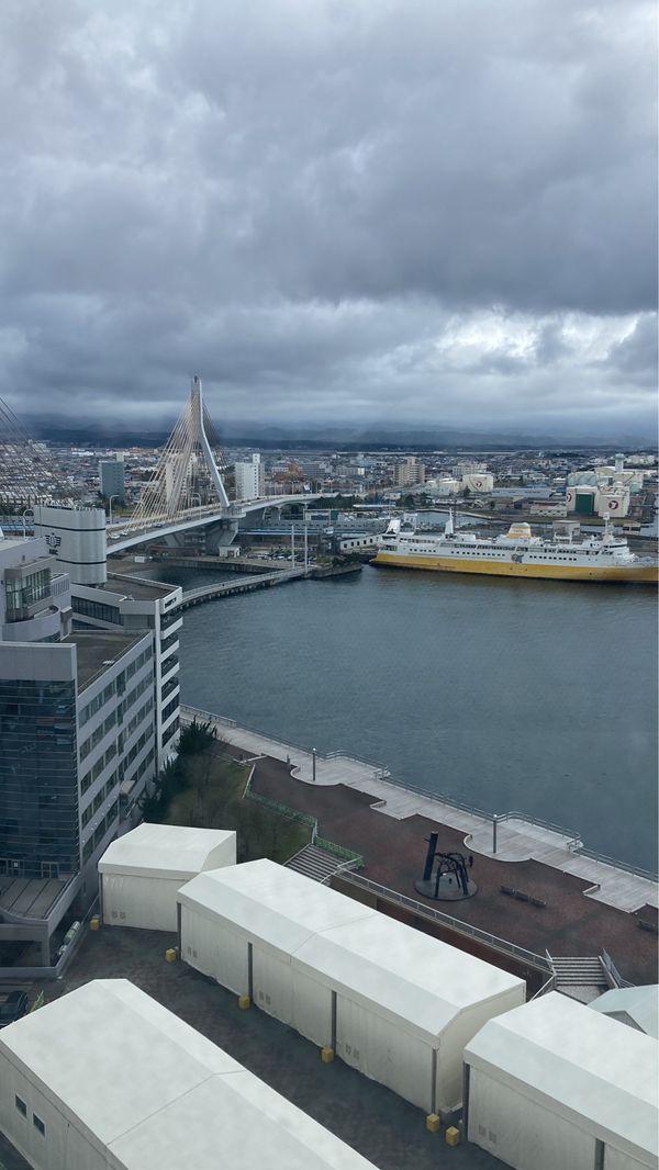 日本・青森市「青森桜マラソン」の写真：暴風雨の中、何とか完走