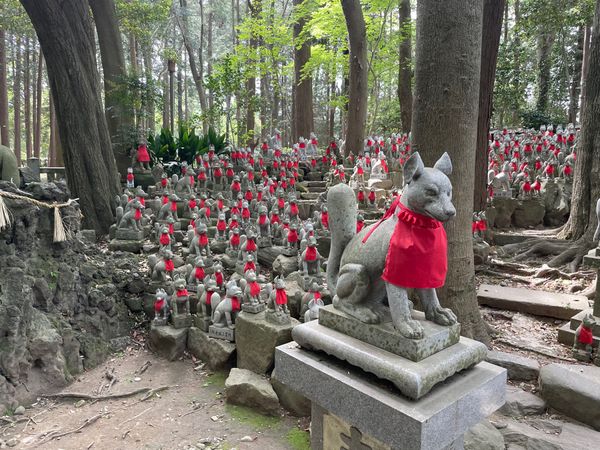日本・愛知県「豊川/知多旅行」の写真：豊川稲荷
