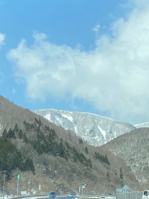 日本・山形県天童市「🌸さくら2023In山形」の写真