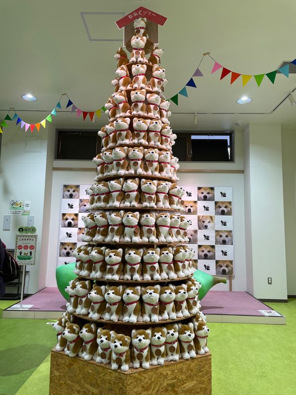 日本・男鹿「秋田・青森 東北の旅」の写真