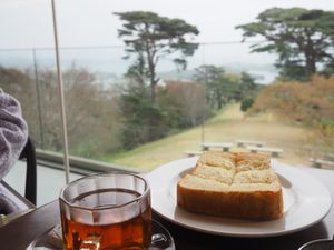 レモンタルト、シュガートースト美味しい✨
松島を見渡すロケーションも最高👏