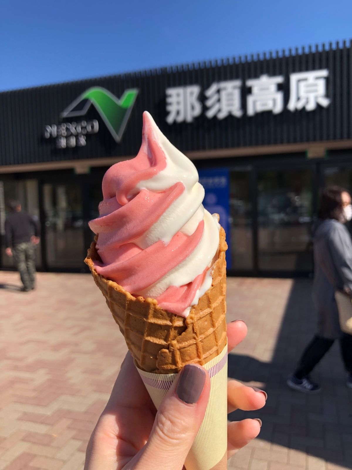 SA食べ歩き

○栃木
いちごミックスソフトクリーム

○福島
喜多方ラー...