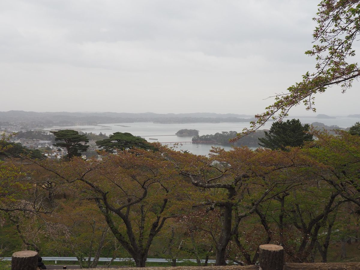 桜の時期には遅かった...
晴れの日だったらロケーション最高👏