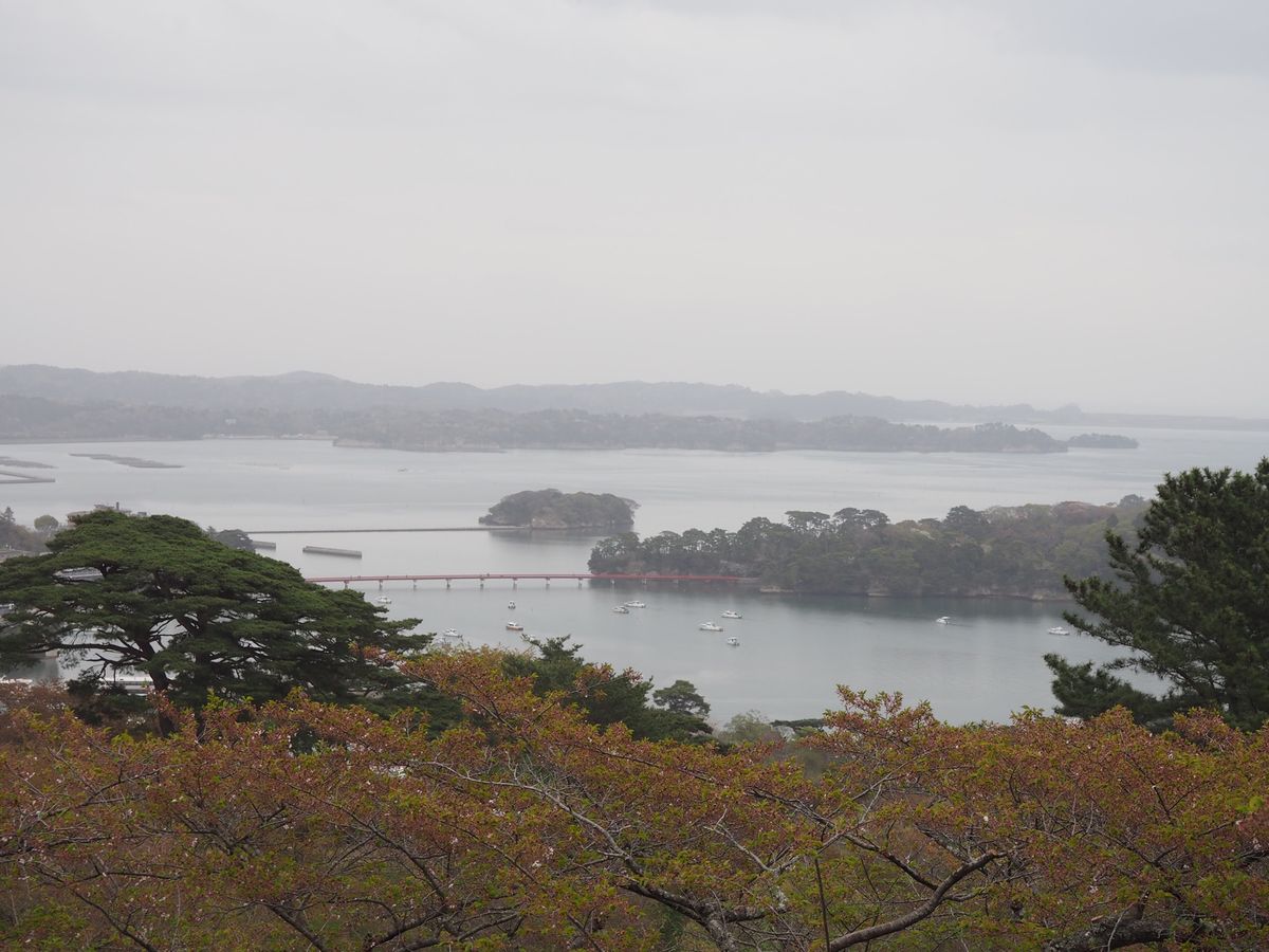 桜の時期には遅かった...
晴れの日だったらロケーション最高👏