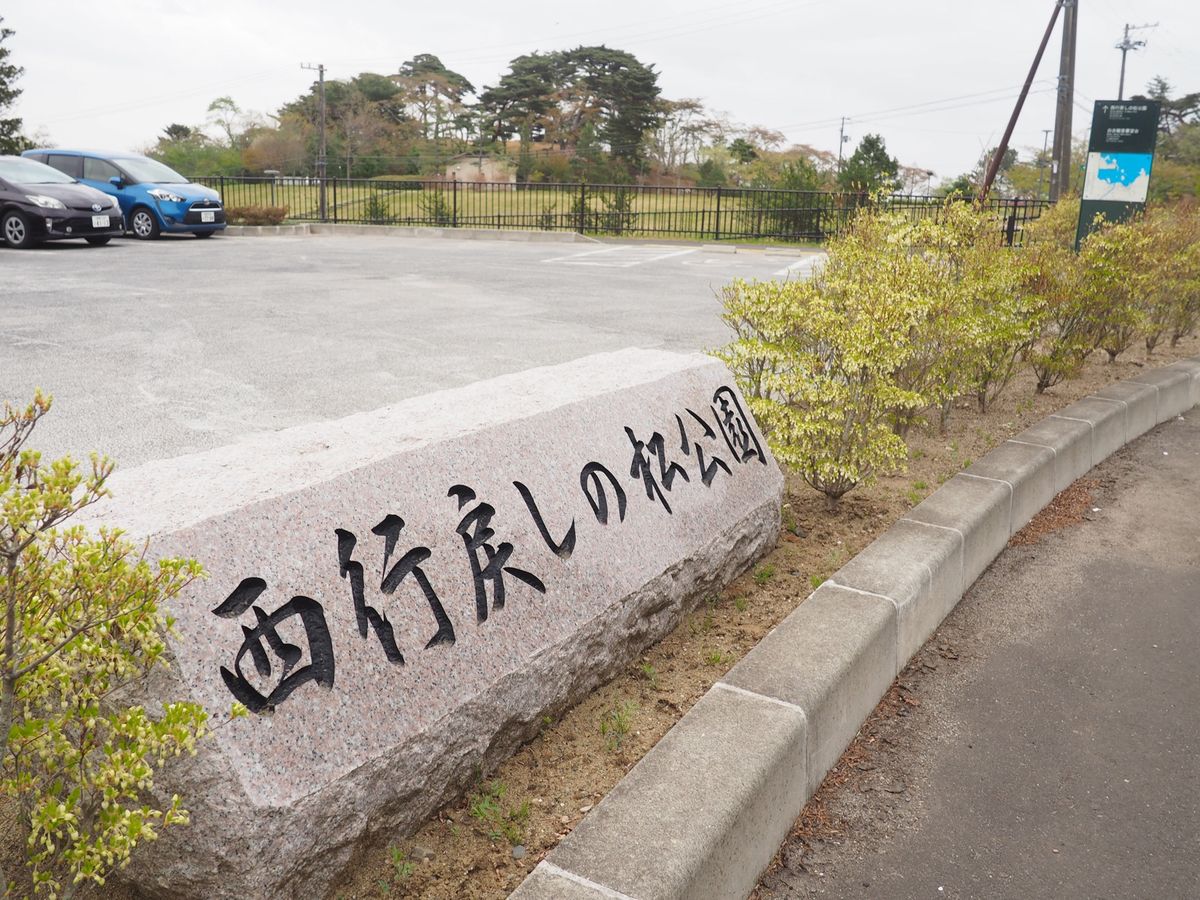 桜の時期には遅かった...
晴れの日だったらロケーション最高👏