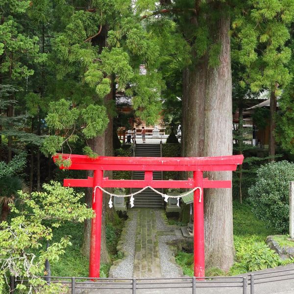 日本・静岡県「「静岡の旅」」の写真