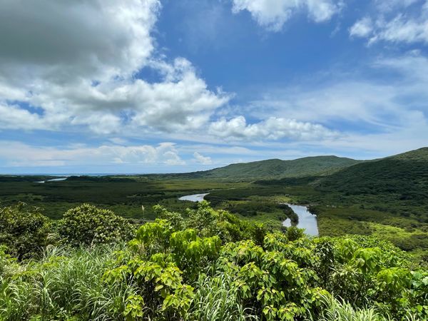 日本・石垣島「「山原・石垣島・西表島の旅」」の写真