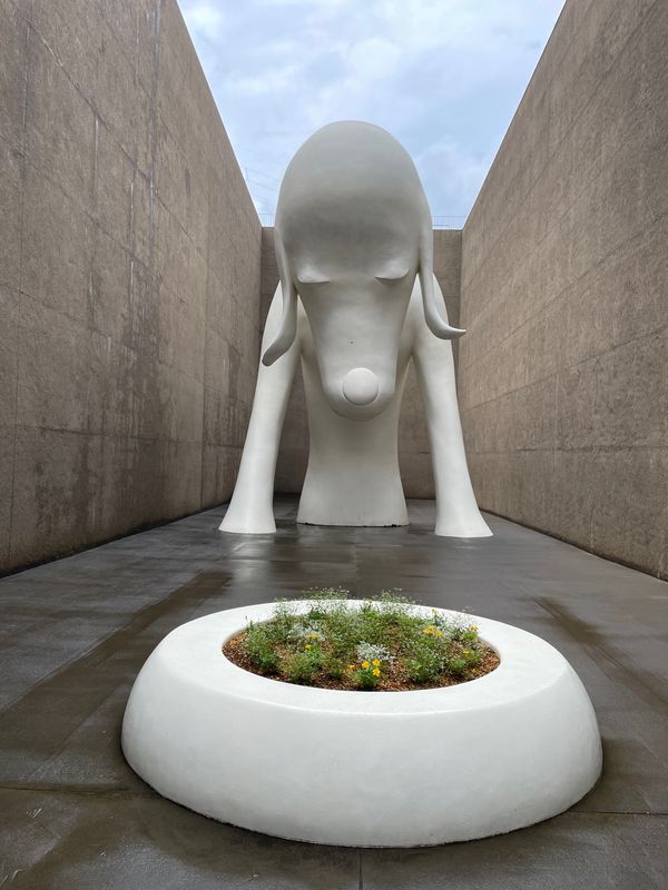 日本・青森県「「青森県の旅」」の写真