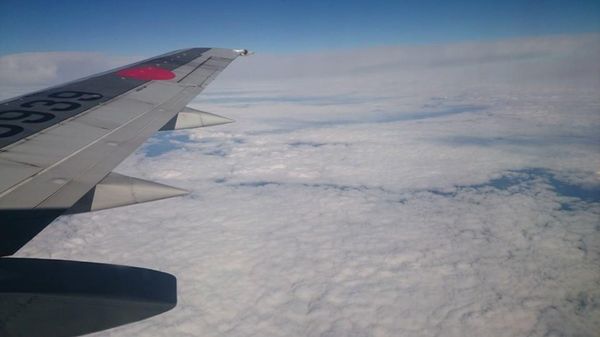 「沖縄旅行」の写真