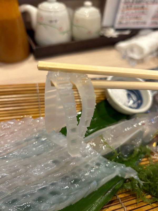 日本・鹿児島「九州旅行」の写真：博多グルメ
透き通るヤリイカのお刺身
甘...