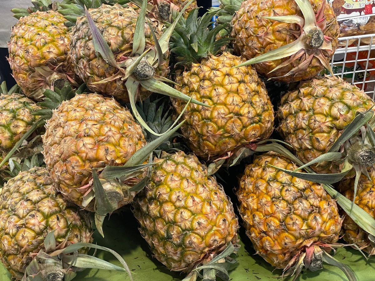 4/29
初日からデザートラッシュ
冰讚のマンゴーかき氷、榕美樹館の豆花、...