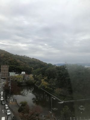 鯛めし🐟
讃岐うどんは撮り忘れた。