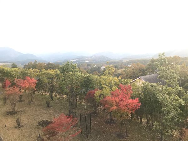 日本・大分県「⚽️昭和電工ドーム」の写真：由布院
