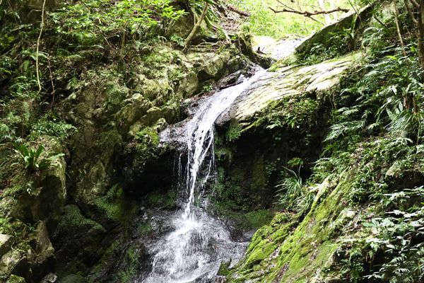 日本・奄美大島「「鹿児島県・島旅」」の写真
