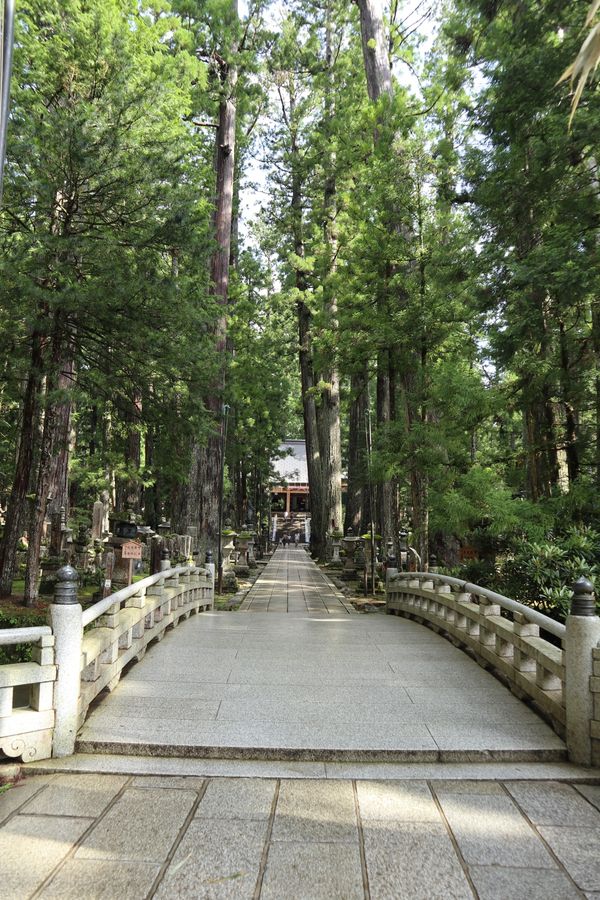 日本・和歌山県「「和歌山・大阪の旅」」の写真