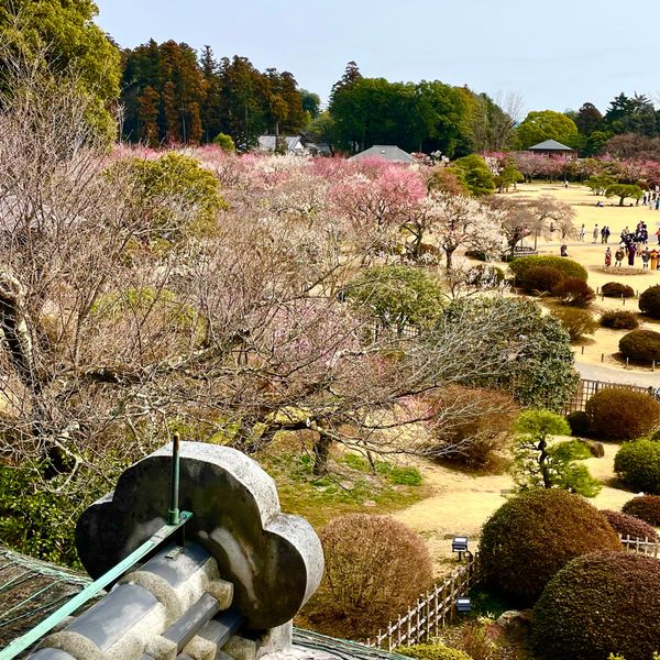 日本・茨城県「「水戸の旅」」の写真