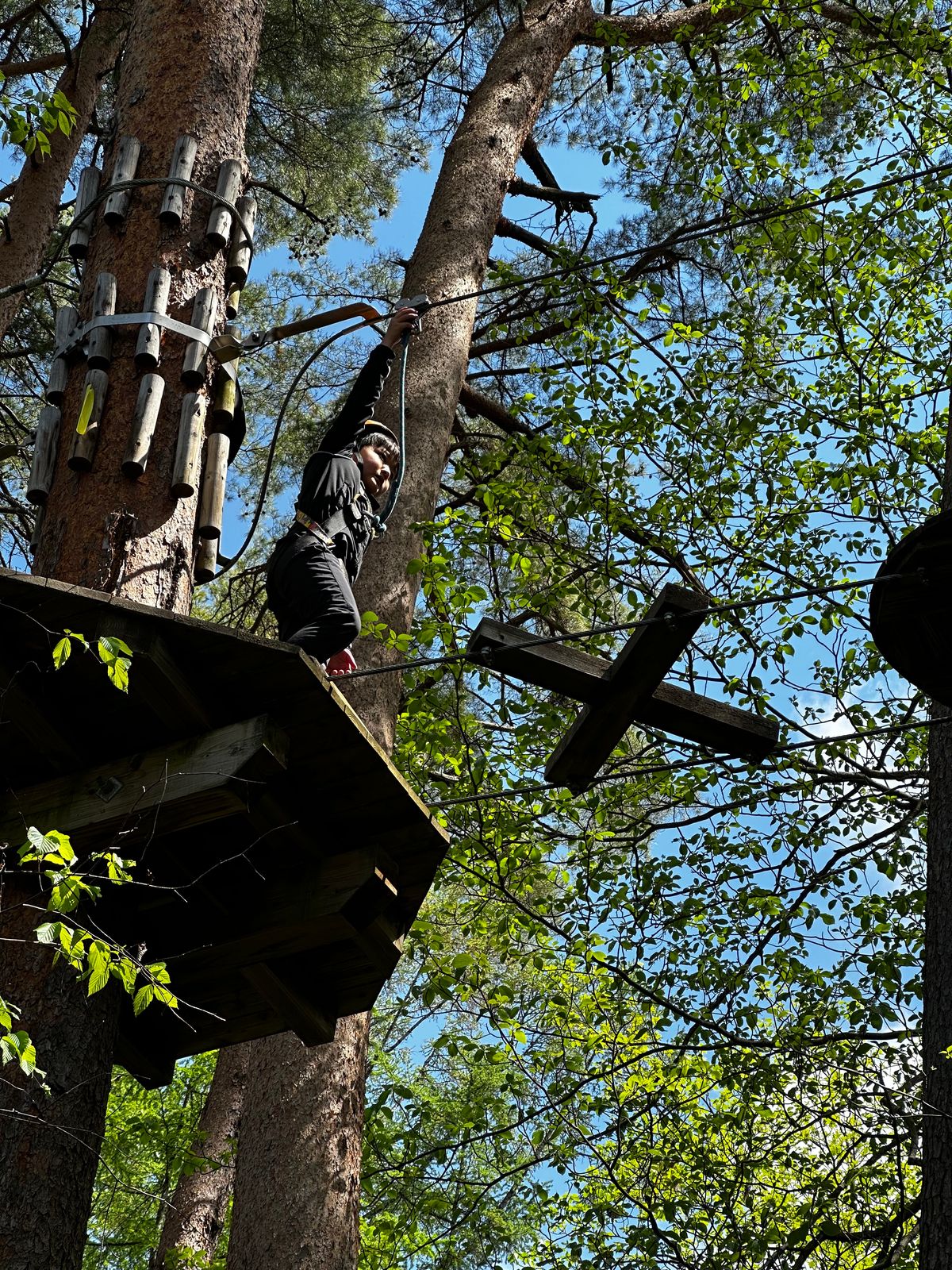 空中散歩というアクティビティ。木の上を恐る恐る歩く。時々動けなくなる子供も...