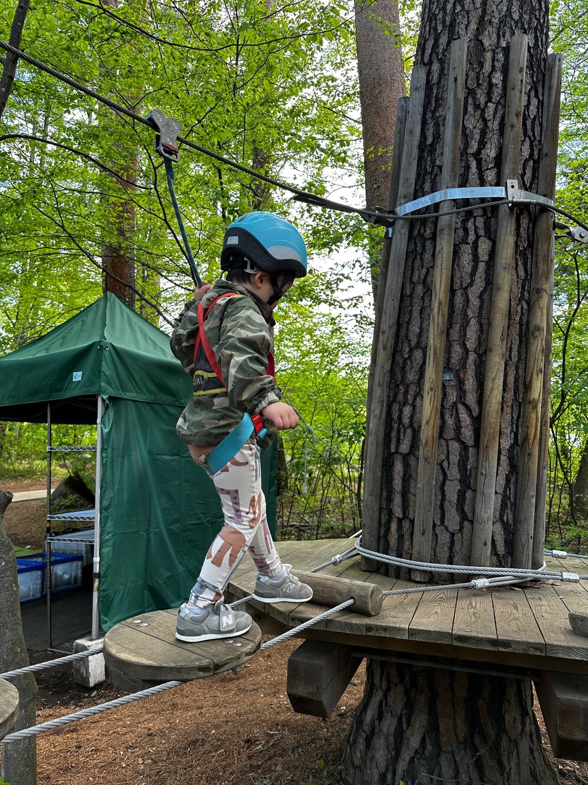空中散歩というアクティビティ。木の上を恐る恐る歩く。時々動けなくなる子供も...