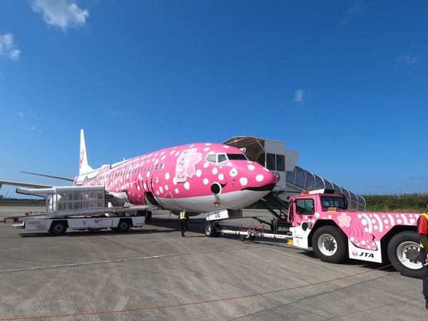 日本・宮古島「宮古島」の写真：移動はこの飛行機でした。かわいい。
本島...
