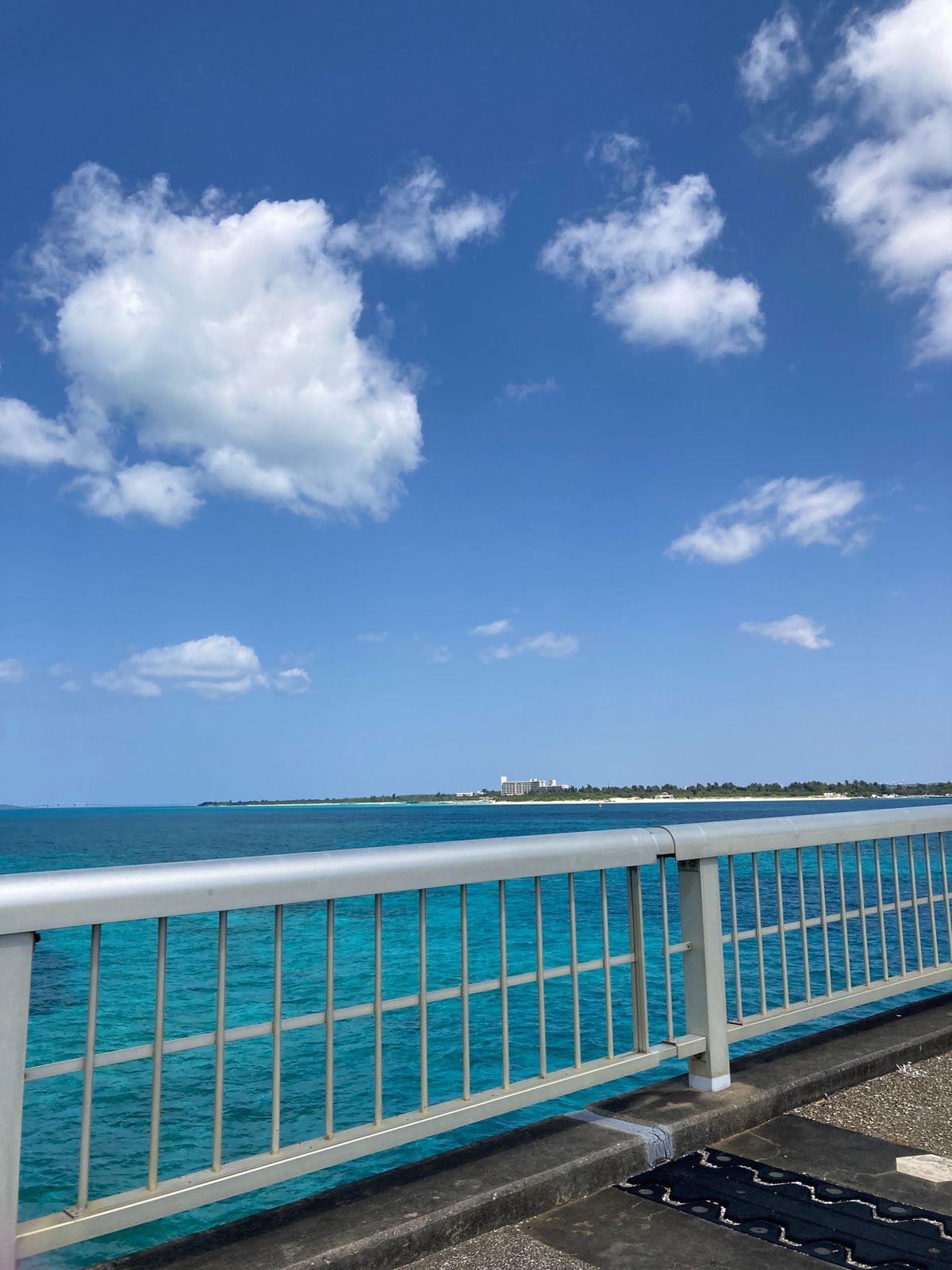 景色が綺麗すぎますよね