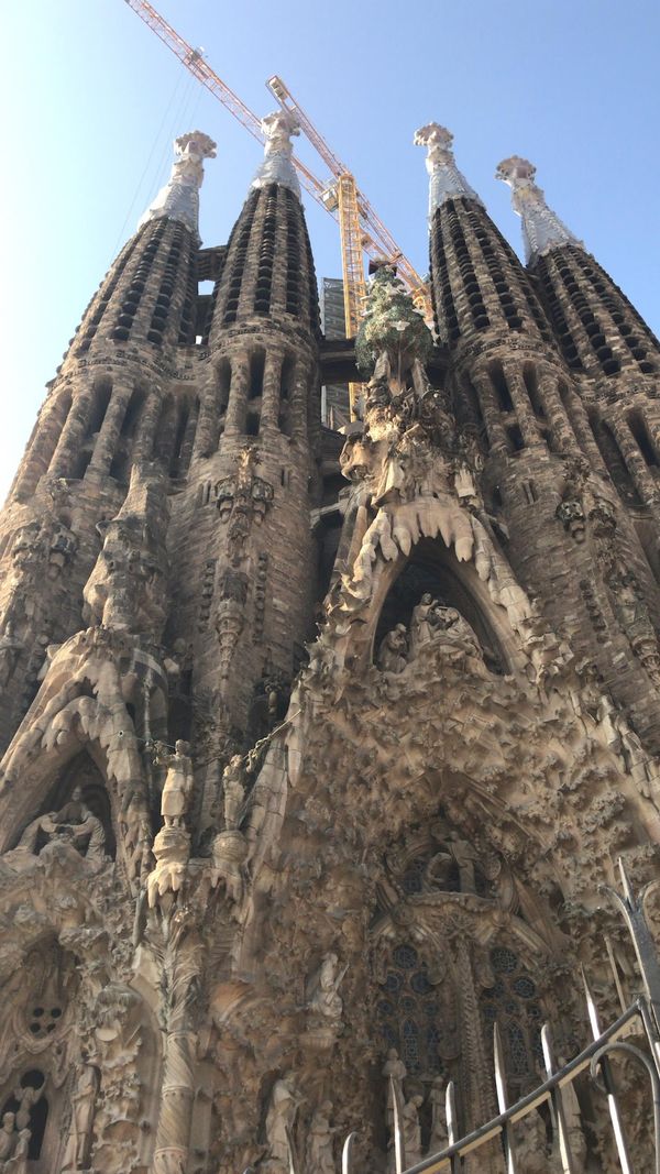 イタリア・ローマ「ヨーロッパ弾丸旅」の写真：サクラダファミリア✨中のステンドグラスが...