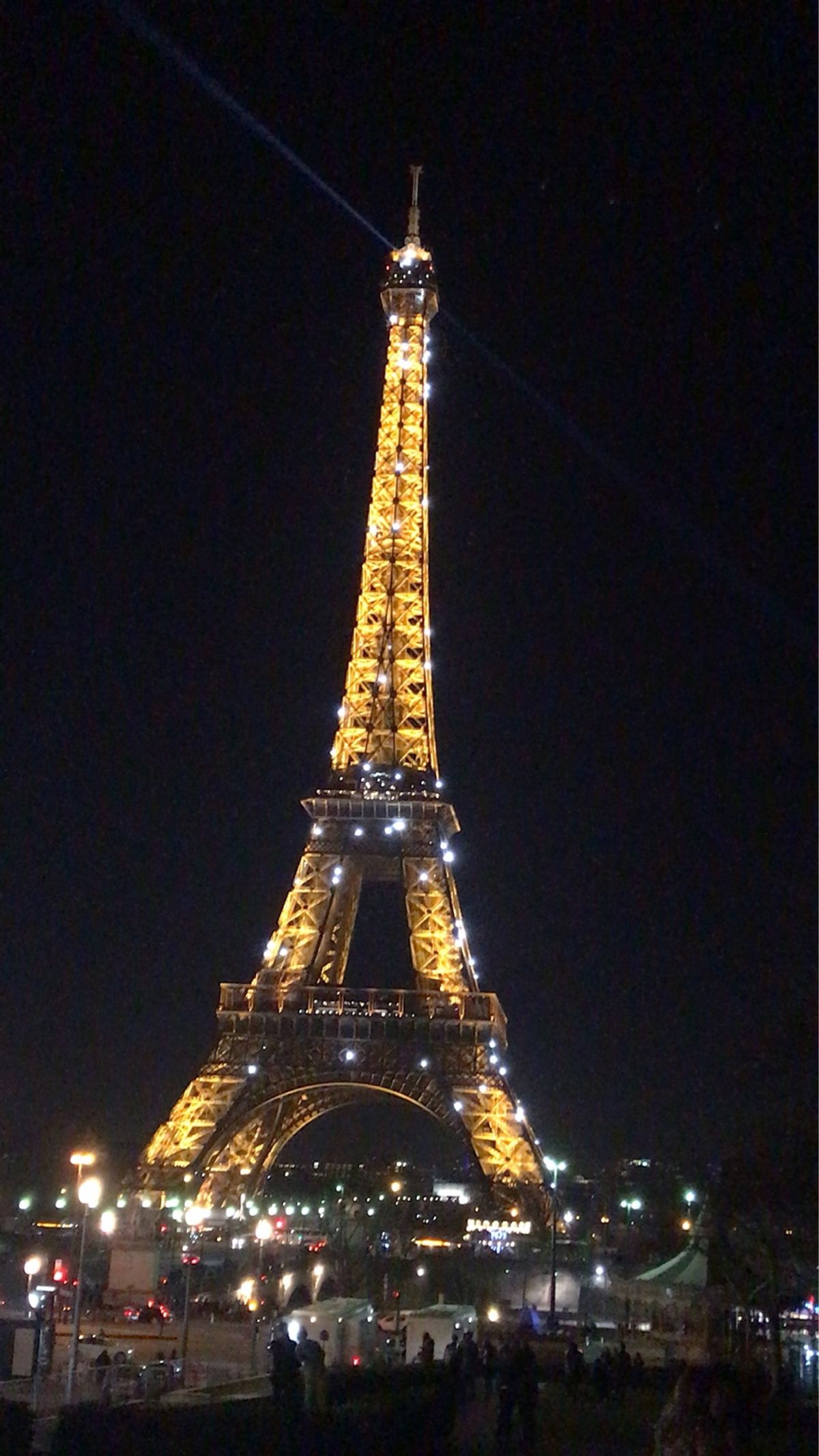 写真映えがよすぎる