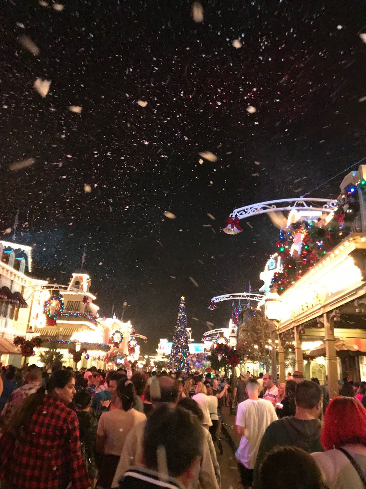 マジックキングダムでのプレ年越し
クリスマスのショーも観れてラッキー🥰
泡...