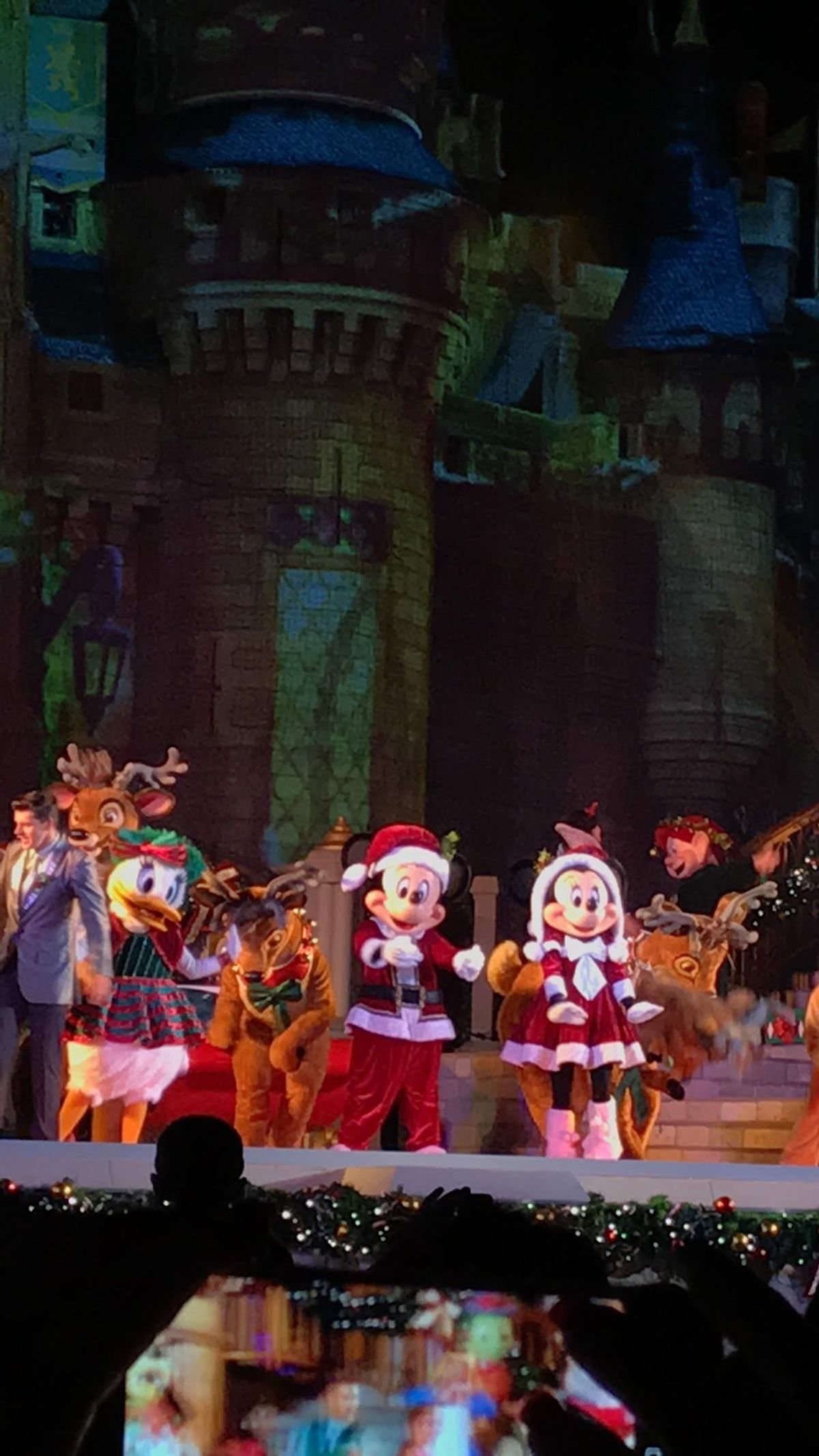 マジックキングダムでのプレ年越し
クリスマスのショーも観れてラッキー🥰
泡...