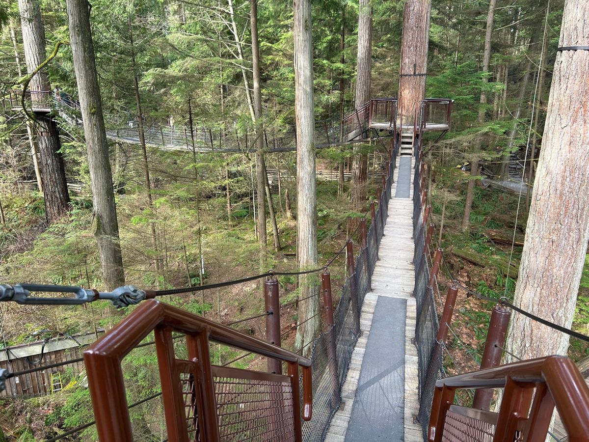 キャピラノ・サスペンションブリッジ。