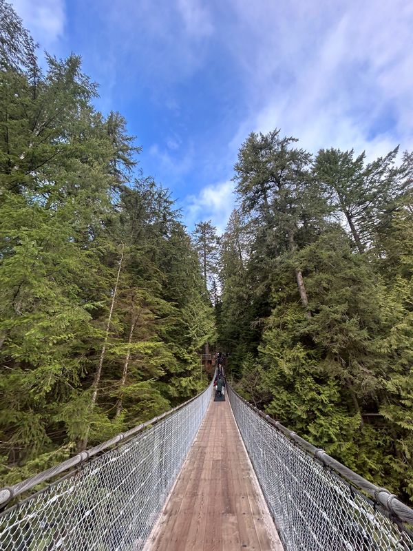 カナダ・バンクーバー「カナダ、BC」の写真：キャピラノ・サスペンションブリッジ。