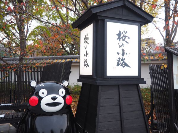 日本・佐賀県「九州旅行」の写真：食べ歩き

サラダちくわ？
ちくわの中に...