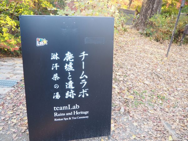 日本・佐賀県「九州旅行」の写真：チームラボとコラボ中😳
