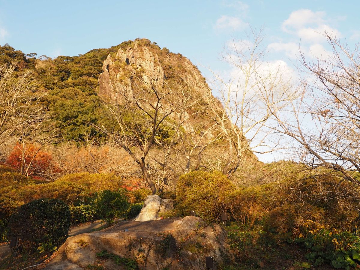 紅葉の時期は終わってたけど、広い庭園で巡り甲斐がある🥺