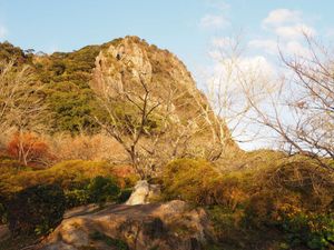 紅葉の時期は終わってたけど、広い庭園で巡り甲斐がある🥺