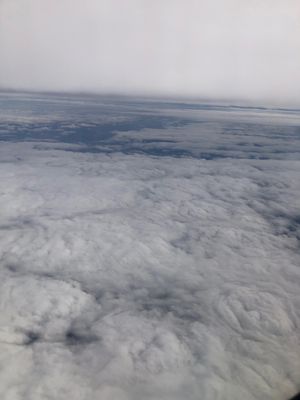 羽田空港にて。
出発の儀笑
バームクーヘン🍩