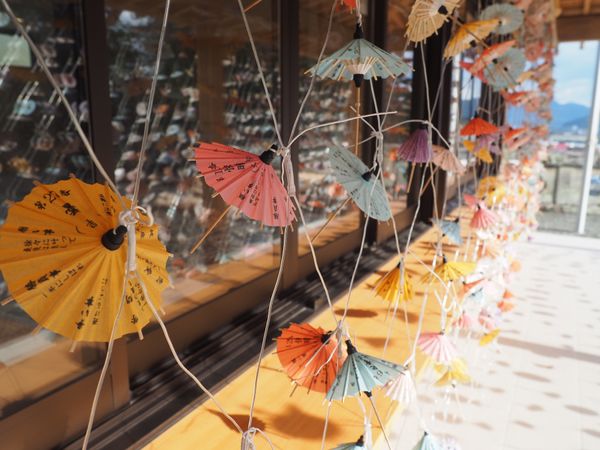 日本・佐賀県「九州旅行」の写真：パワースポット
御神木がすごい✨
