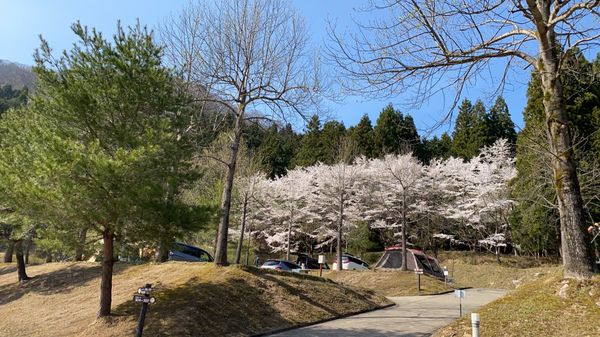 日本・兵庫県「湯の原温泉キャンプ場（ぽ」の写真