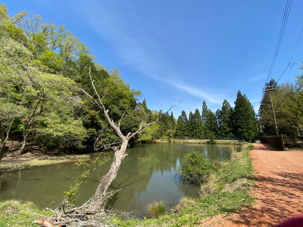日本・兵庫県「TASTE HOUSE ～ZEN～」の写真