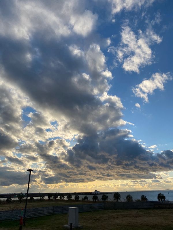 日本・大阪府「パームガーデン舞洲」の写真